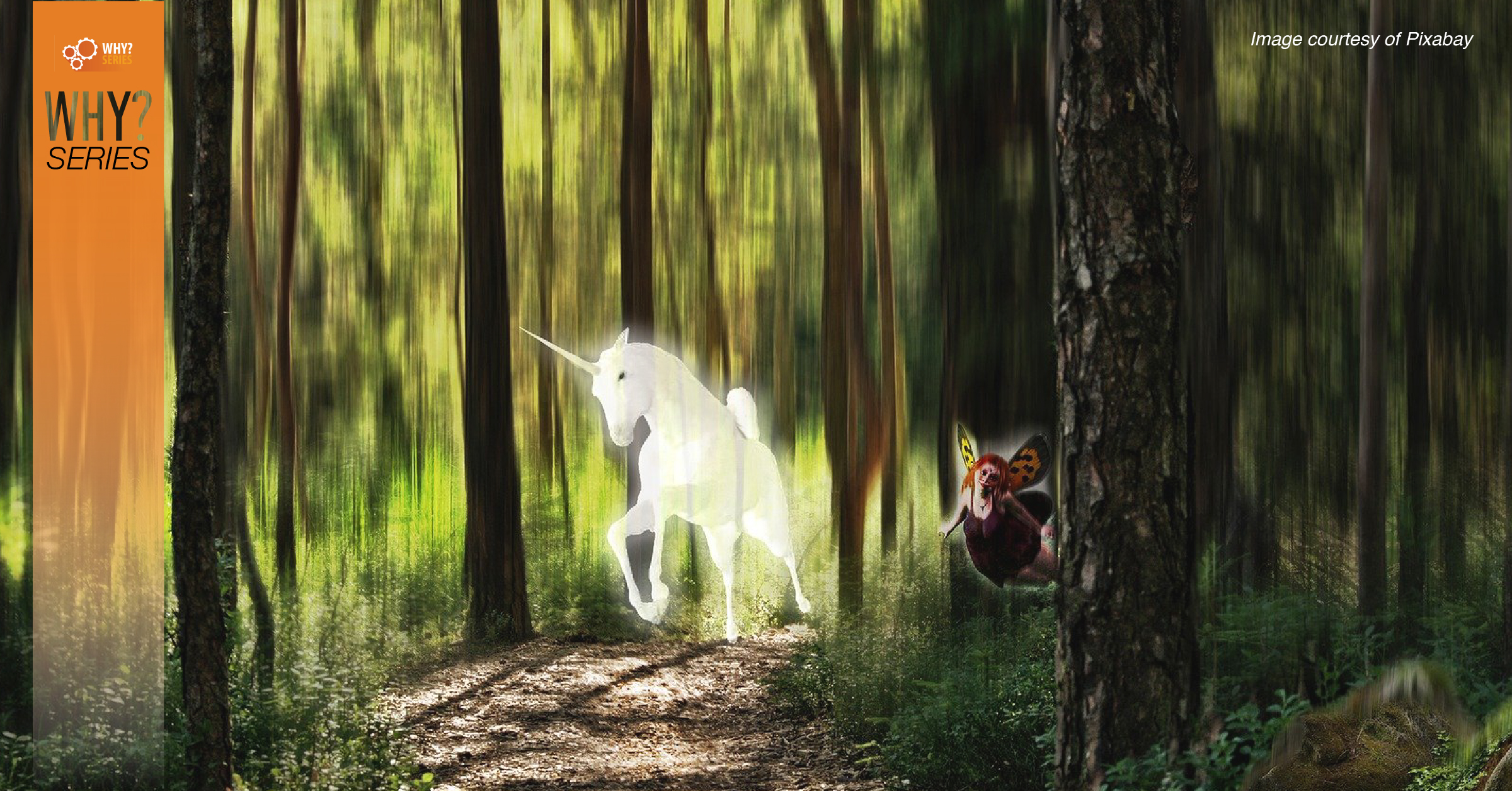 Where Did the Inspiration for the Unicorn Come From? - iN Education Inc.