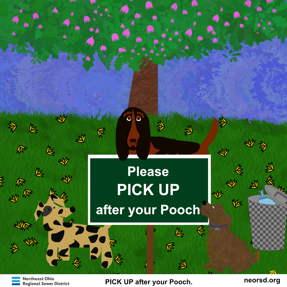 Pick Up the Poop initiative