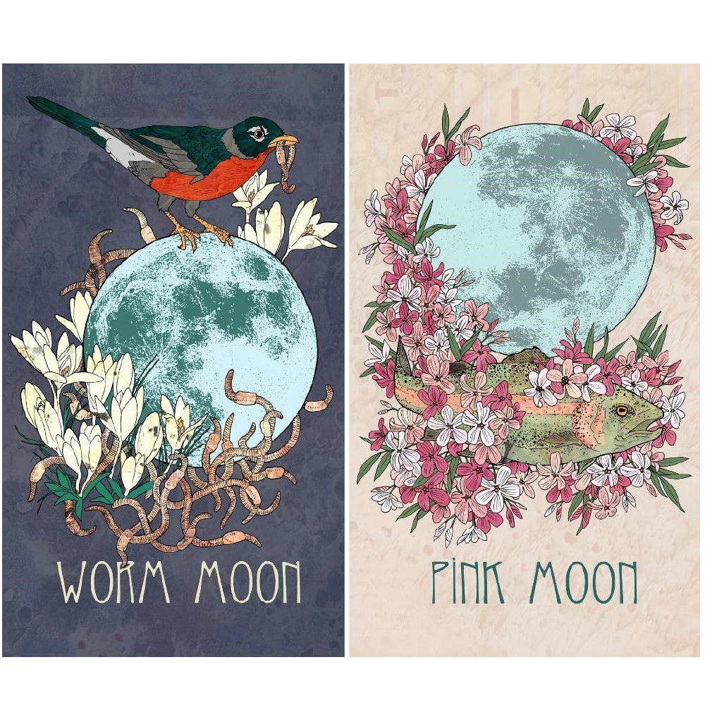 Who is this Forager's Daughter_Pink Moon and Worm Moon