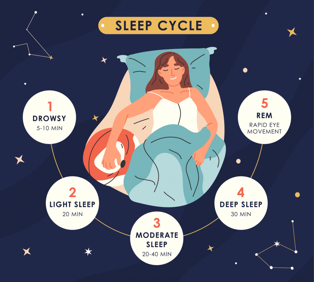 Sleep cycles infographic, nighttime resting stages, healthy sleep phases. Young woman sleep and wake stages vector concept illustration. Human sleeping and nighttime resting stages.
