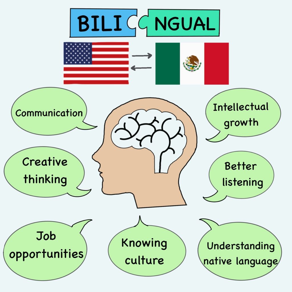 The illustration depicts a human head surrounded by speech bubbles with skills derived from bilingualism.