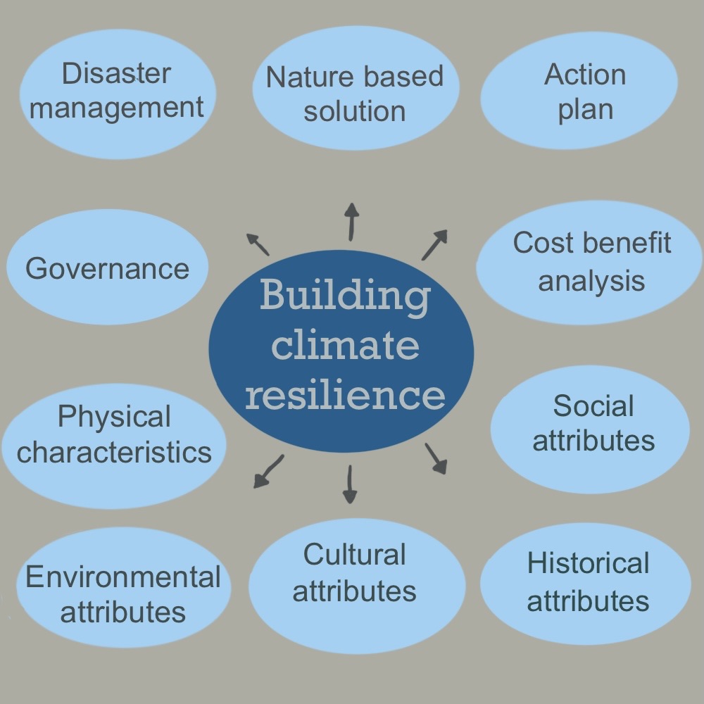 Chart of ideas towards building climate resilience. Illustration by Amruta Awate.