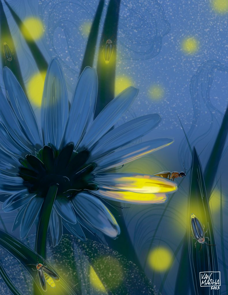 fireflies in the meadow at dusk 