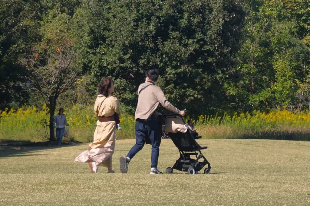 a couple walking with the stroller in the park