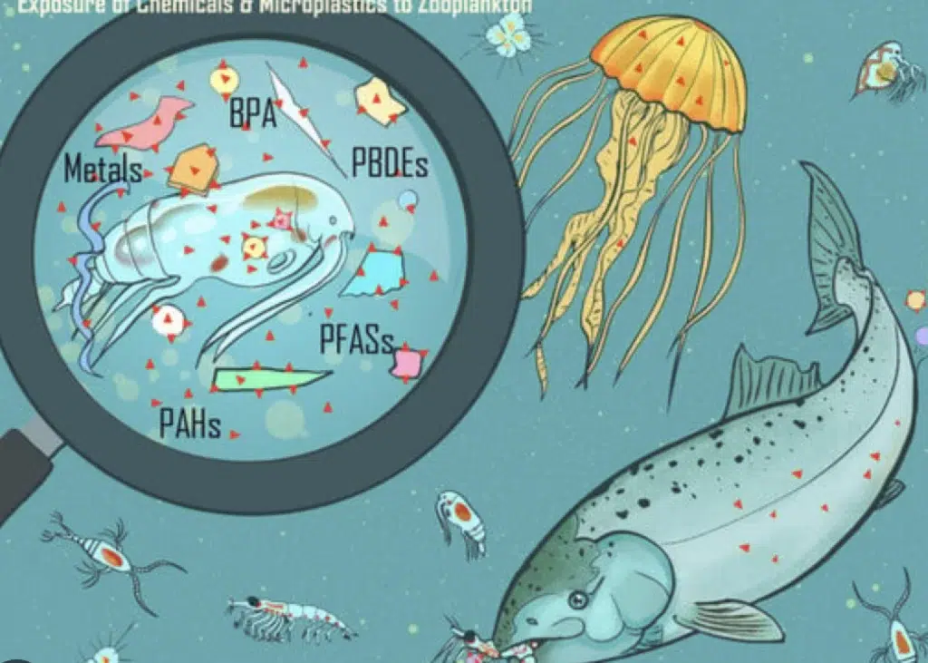 A vector image of sea or water creatures with an element showing water pollution.