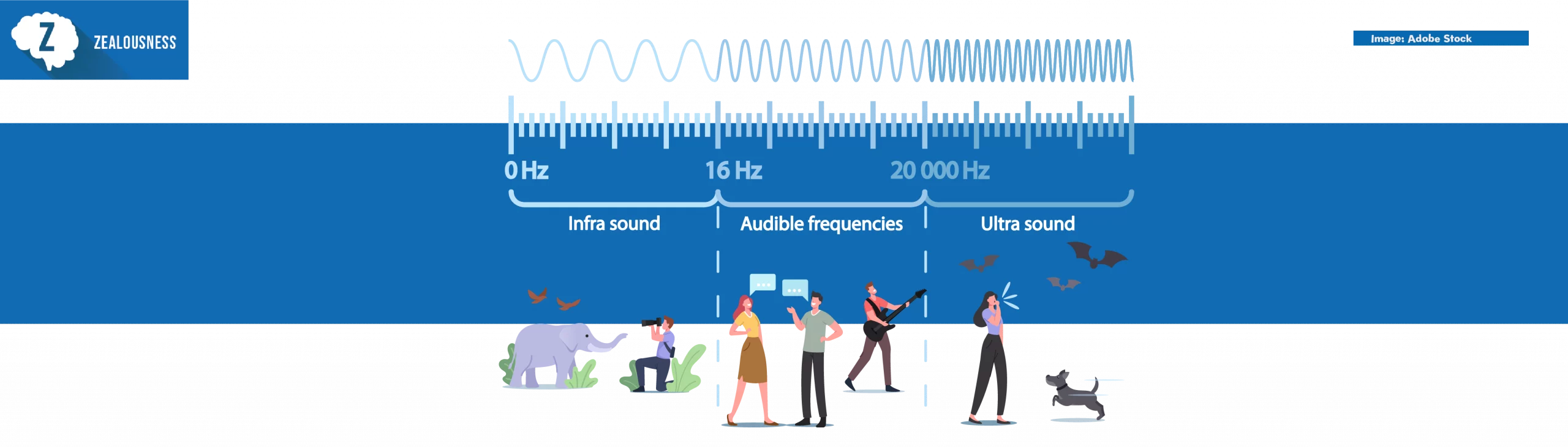 What Is Vibration? Frequency, Amplitude, Resonance — Explained Simply 